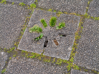 Urban Drainage Slot in Paving Stone with Weeds