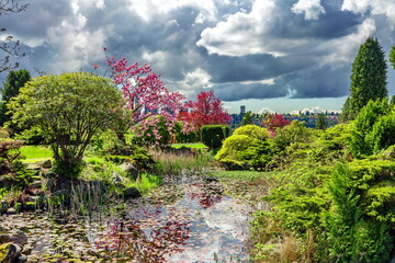 Spring landscape. A small pond covered with water lilies, green bushes, sakura and red maple around the pond. The stormy sky is reflected in the water of the pond, on the horizon are city buildings