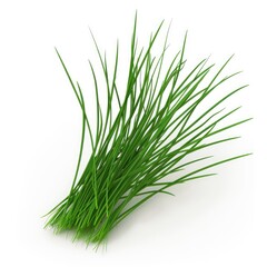 Fresh chives, a vibrant bunch of culinary herbs.