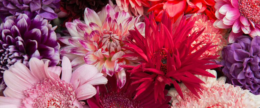 seamless abstract macro art with red, pink and purple flowers and petals background