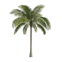 Obraz premium A lush green palm tree stands tall against a background of colorful horizontal stripes