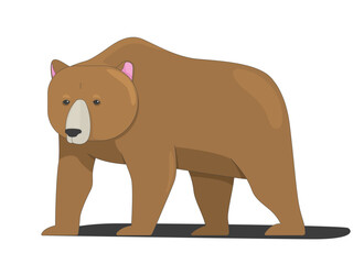 Large brown bear forest animal standing 2D cartoon character. Grizzly mammal. Woodland wildlife. Wild creature. Nature wildlife flat vector creature isolated on white. Spot illustration colorful