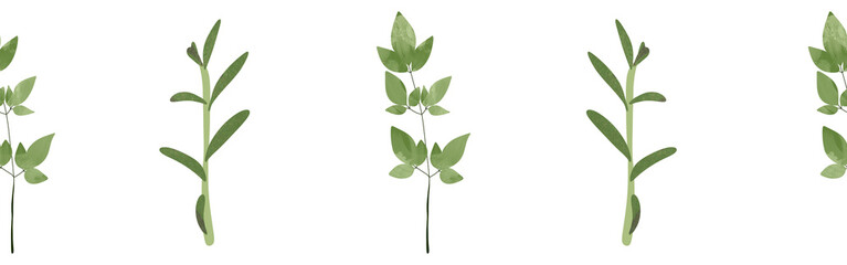 Leaves border on a white background. Hand-drawn illustration. Perfect for spring and summer.	