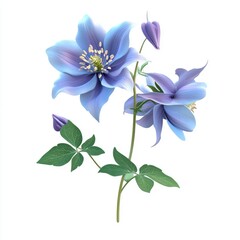 Vibrant periwinkle flower cluster with delicate leaves.