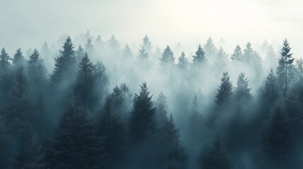Misty forest landscape serene winter coniferous trees nature scene fog fir art view pine calm blue