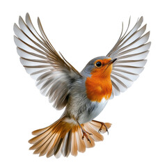 Obraz premium A digitally enhanced image of a robin in mid-flight, showcasing detailed features and vibrant colors.