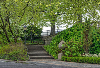 Central Park in spring