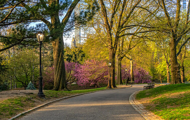 Central Park in spring