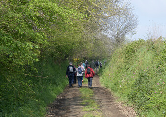 Groupe de randonneurs seniors dans la campagne en Bretagne