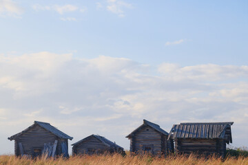 Obraz premium Russian village old wooden houses, Russian north view in Arkhangelsk region