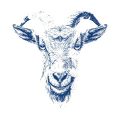 Old engraving style goat head, black sketch vintage emblem, beautiful logo, white goat icon on blue background, trendy animal illustration, antique animal artwork,