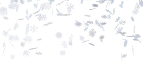 Naklejka premium Delicate snowflakes descend softly against transparent background, creating a tranquil and magical winter atmosphere in the evening hours. Beauty of the falling snow. Header, top border. 3D render.