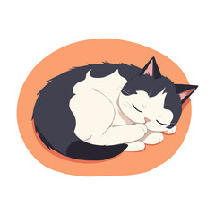 Cute cat sleeping vector graphic and illustration