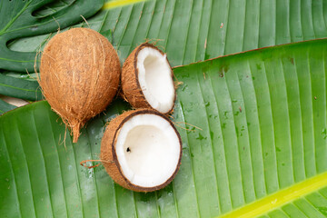 Summer tropical fruits of coconut over fresh green leaf
