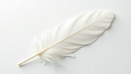Soft, ethereal white feathers against pure white backdrop, fluffy, bright
