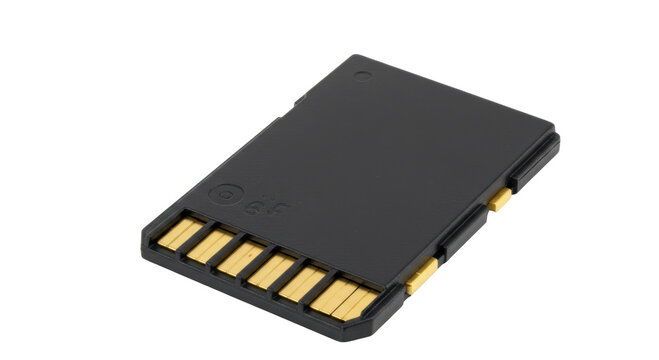Isolated Black SD Memory Card with Gold Contacts