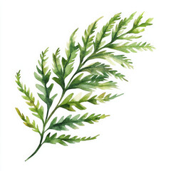 Fototapeta premium Realistic green fern delights with its simple, natural beauty