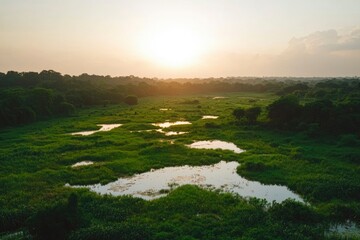 Fototapeta premium Sunset over a marsh