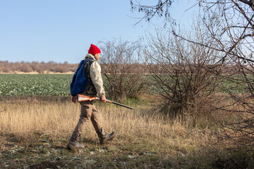 Mature hunter man holding a shotgun and walking through a field