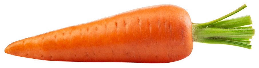 Carrot png. Carrot on white or transparent background. Perfect retouched carrot no background. Top...
