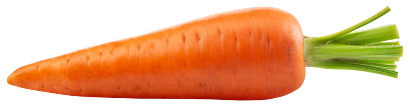 Carrot png. Carrot on white or transparent background. Perfect retouched carrot no background. Top view. Transparent png. Full depth of field.