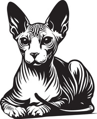 Sphynx Cat Vector Black and White Line Art Illustration	
