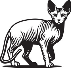 Sphynx Cat Vector Black and White Line Art Illustration	
