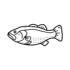 fish drawing line art