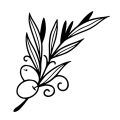 decorative olive branch design	