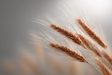 Golden wheat stalks gently swaying, capturing essence of abundan