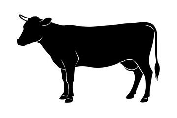 Australian Cow vector silhouette illustration isolated on white background