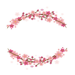 cherry blossom border