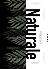 Modern black and white design with tropical leaf pattern