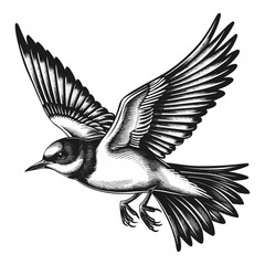Vintage flying swallow, black and white tattoo sketch, trendy vector illustration, emblem design, old engraving, bird tattoo, black sketch, retro bird silhouette, classic tattoo art