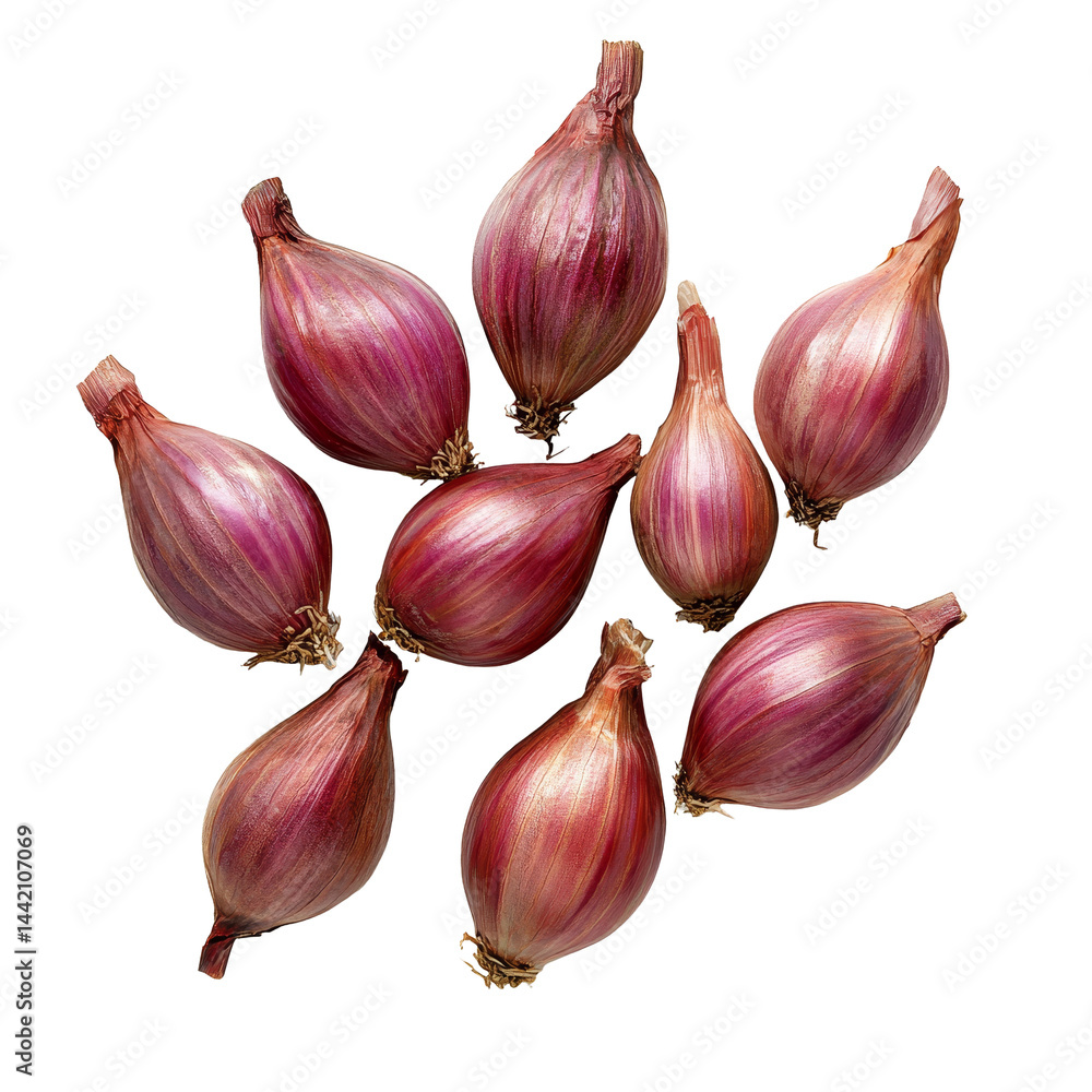 Poster fresh shallots arranged on a clean transparent background showcasing their unique shape and vibrant 