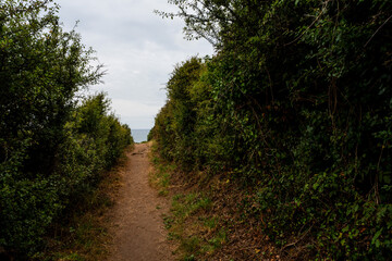 Chemin arboré en bord de mer. Sentier des douaniers. Saint-Cast