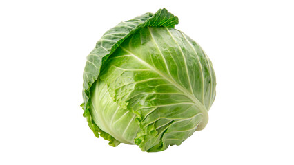 raw green fresh Cabbage isolated on transparent background cutout