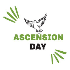 Celebrate ascension day with this symbolic image of a dove ascending to heaven