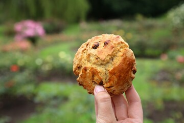 Scone with raisins