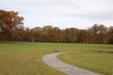  Empty Park Path with Bench in Autumn Landscape.Winding path with lone bench in a peaceful park surrounded by colorful autumn trees.