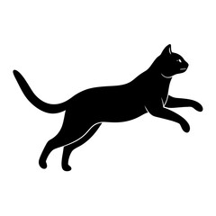 Beautiful Cat icon vector silhouette illustration isolated on white background
