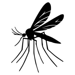 black silhouette of a mosquito