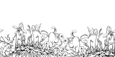 Cranberry lingonberry, pink flowers on moss, vector hand drawn in ink. Swamp forest berry on stems, teaberry bearberry wintergreen. Isolated seamless banner border. Restaurant menu, farmers market
