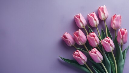 Obraz premium Colorful background showcasing beautiful fresh tulips