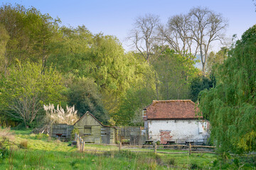 Rustic Sussex country cottage in the woods in summer  