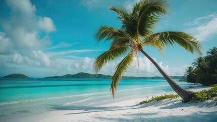 Vivid green tree on a bright white sandy beach