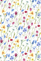 Blue muscari, fritillary, daffodils, hyacinth, Easter spring flowers background. Stock illustration. Hand painted in watercolor.
