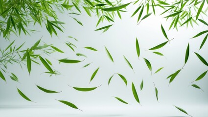 Fototapeta premium Isolated green leaves and bamboo flying in the air against a background