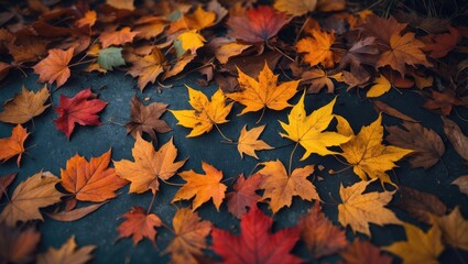 Fototapeta premium A seasonal setting featuring vivid leaves.
