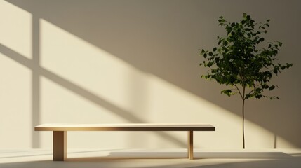 Bench and tree in room sunlight